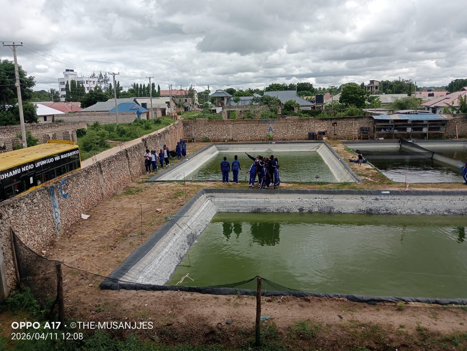 Aerial view of the three PHYG aquaculture ponds in Mtongwe, Likoni
