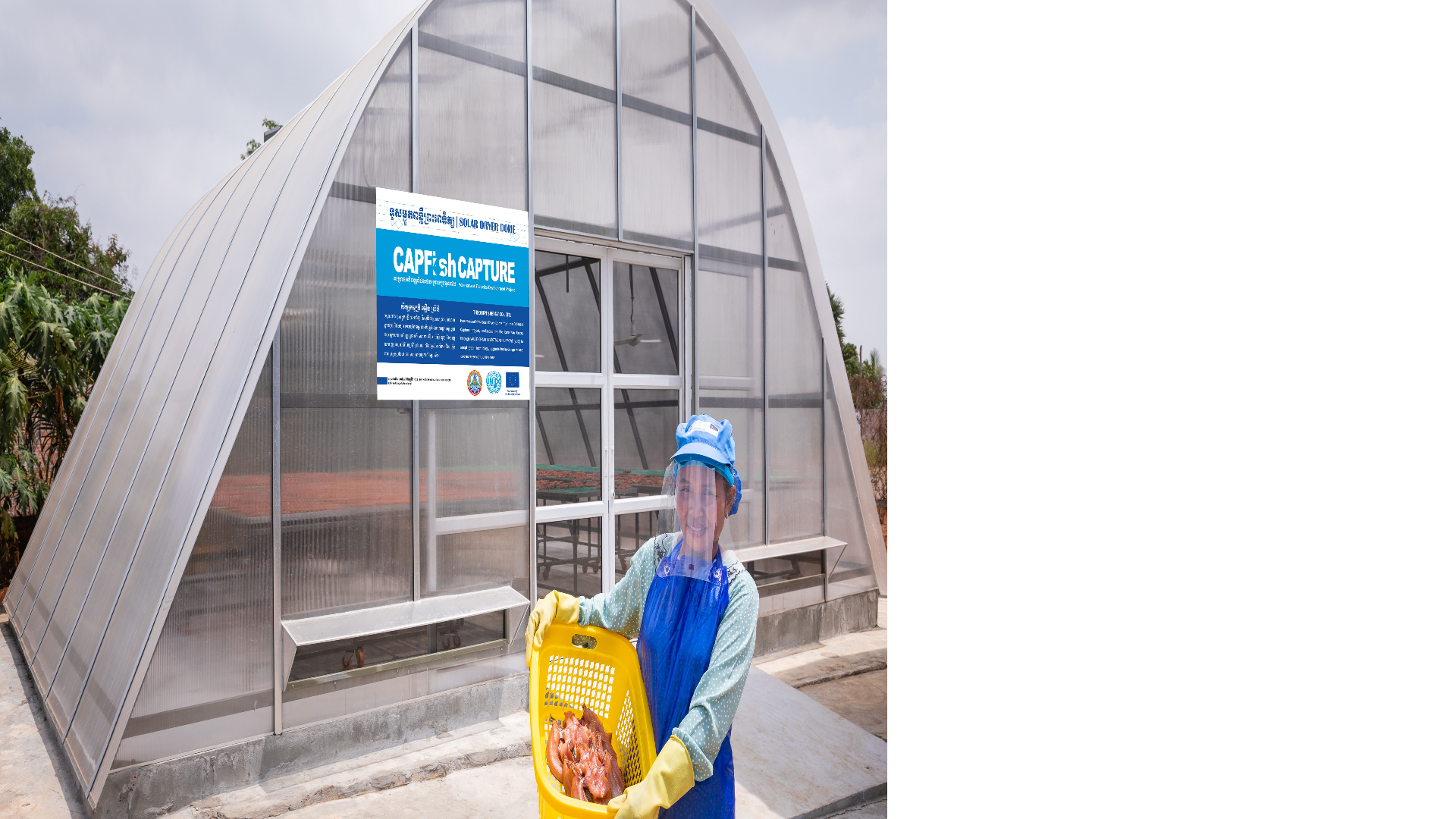 Arched polycarbonate solar dome dryer with operator holding a basket of dried fish
