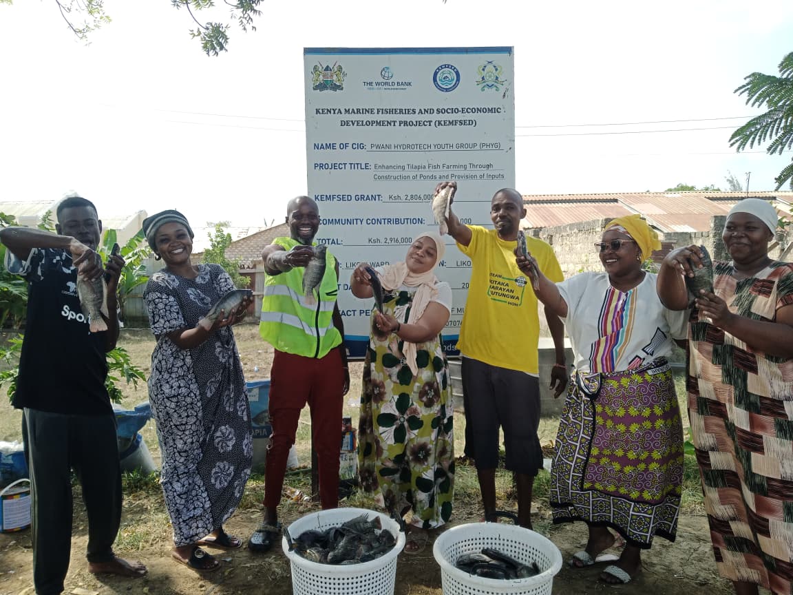 PHYG members with the day's catch at the KEMFSED project board